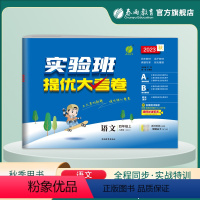 语文 四年级上 [正版]2023年秋 小学语文实验班提优大考卷四年级上册人教版 4年级上册RJ单元基础巩固分层能力提优期