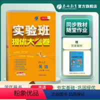 英语 八年级上 [正版]2023年秋 初中英语实验班提优大考卷八年级上册 译林版 英语八年级上册YL版同步测试卷期中期末