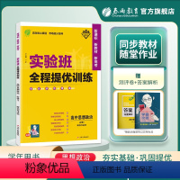 思想政治 必修3 [正版]2024新版 实验班全程提优训练高中思想政治必修3政治与法治 必修3同步训练提优基础思维拓展高