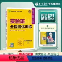 思想政治 必修3 [正版]2024新版 实验班全程提优训练高中思想政治必修3政治与法治 必修3同步训练提优基础思维拓展高
