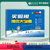 语文 三年级上 [正版]2023年秋 小学语文实验班提优大考卷三年级上册人教版 春雨教育3年级上册RJ版单元基础巩固分层