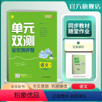 语文 九年级下 [正版]2024年春 初中语文单元双测九年级下册人教版 9年级下册初三RJ基础达标训练综合培优期中期末全