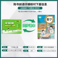 数学 六年级上 [正版]2023年秋 小学数学实验班提优大考卷六年级上册人教版 6年级上册RJ版单元基础巩固分层能力提优