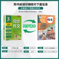 同步作文 三年级上 [正版]2023年秋 小学同步作文三年级上册人教版 春雨教育3年级上册RJ版春雨作文小学语文配套作文