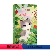 送音频I am a Kitten小猫咪 [正版]送音频0-3岁英语启蒙绘本英文原版I am a bunny Kitten