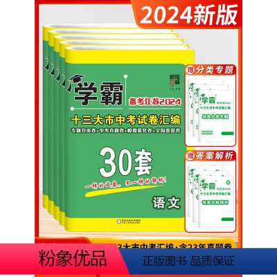 [2024]语数英物化 套装5本(江苏版) 初中通用 [正版]备考2024学霸江苏13十三大市中考试卷汇编30套初三中考