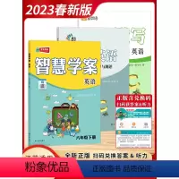 [2023春版]6下3本 智慧学案+默写+小升初 小学通用 [正版]2024春新版智慧学案智慧英语学历案二年级四年级五年