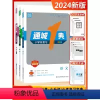 语数英 套装3本[江苏版] 小学升初中 [正版]备考2024年新版通城一1典小学总复习三合一语文数学英语决胜小考升初中简