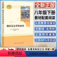 钢铁是怎样炼成的 [正版]钢铁是怎样炼成的初中初二2八8年级下册人教统编版语文同步阅读名著阅读课程化丛书人民教育出版社课
