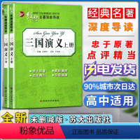 三国演义 上下2册 [正版]经典名著深度导读三国演义上册下册全两册语文课程标准书目忠于原著解析透彻点评精当 导读准确苏州