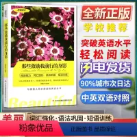 [正版]美丽英文那些激励我前行的身影阅读能力词汇强化语法巩固短语训练与美国人同步阅读的英语丛书快速突破英语水平轻松阅读