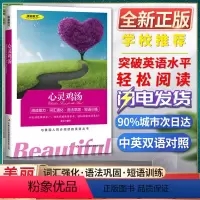 [正版]美丽英文心灵鸡汤阅读能力词汇强化语法巩固短语训练与美国人同步阅读的英语丛书快速突破英语水平轻松阅读双语美文