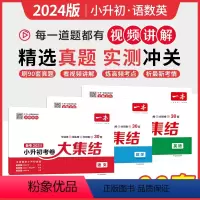 语+数+英 [套装3本-全国通用] 小学升初中 [正版]备考2024新版一本小升初考卷大集结小学毕业升学总复习试卷语文数