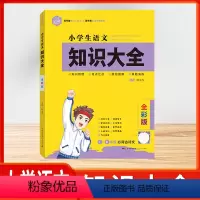 小学生语文知识大全 小学通用 [正版]知识大全小学语文全国通用小学数学知识大全全彩版小学生语文基础知识一二三四五六年级小