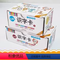 [全2册]无图识字卡上下册 [正版]儿童识字卡3-6岁认字神器 一年级同步阅读幼儿园大班幼儿学前训练识字书4-5-6岁