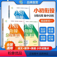 语文 小学升初中 [正版]一起同学 小升初衔接9周集训 数学英语9周集训语文6周集训小升初小学知识回顾初一新课衔接夯实小