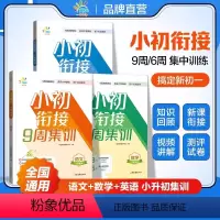 语文 小学升初中 [正版]一起同学 小升初衔接9周集训 数学英语9周集训语文6周集训小升初小学知识回顾初一新课衔接夯实小