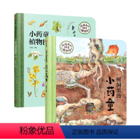 给孩子的神奇植物课[全2册] [正版]给孩子的神奇植物课全2册狐狸家著 3-6岁探秘植物精灵的秘密花园JST发现中草药的