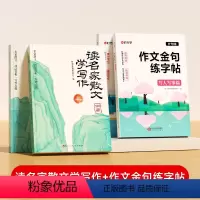 [全4册]作文金句练字帖+读名家散文学写作 [正版]时光学作文金句练字帖3-6年级满分作文练字帖小学生字帖三年级四五六年