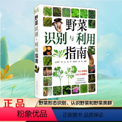 [正版]野菜识别与利用指南 常见野菜野果指南野菜野外识别速查图鉴植物分类生长习性 食用方法野果识别与利用指南书籍