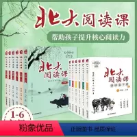 新版北大阅读课+领读者手册 一年级上 [正版]北大阅读课领读者手册 一二三四五六年级上册 1-6小学生语文阶梯阅读理解强