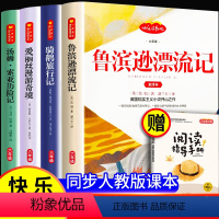 [全4册]快乐读书吧六年级下册 [正版]鲁滨逊漂流记六年级必读的课外书下册尼尔斯骑鹅旅行记爱丽丝漫游奇境记仙境汤姆索亚历