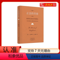 [正版]正念的奇迹 一行禅师 是现代的佛教禅宗诗人 人生哲学心理学舍得放下 寂静之道西藏生死书次第花开正念禅修观呼吸透