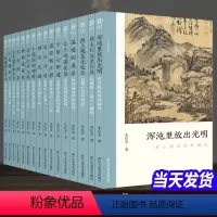 [正版]全套16册 文人画的真性朱良志著 一枝瘦骨写空山金农黄公望恽寿平徐渭唐寅沈周石涛徐渭八大山人山水画作品画册艺术