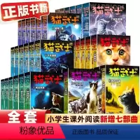猫武士1-7部曲[全套42册] [正版]任选 猫武士全套 第一二三四五六七部曲全套42册猫武士外传美绘中小学生青少年