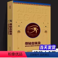 [正版]寻秘古埃及 勇闯法老之国的艺术家与探险家 埃及古代史 古埃及考古实录 500张手绘图 超丰富史料文字 科普百科