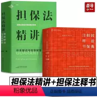 [正版]2023麦读2册 民法典担保注释书+担保法精讲 体系解说与实务解答 合同担保法律法规司法解释规章案例法律适用