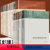 中国社会学经典文库13册 [正版]中国社会学经典文库 13册 小镇喧嚣 当代中国社会分层 毅著迎检开发收税征地维权故事等