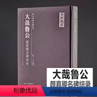 [正版]新书 大哉鲁公 颜真卿名碑综录 完整收录石刻书法拓本罗婉顺墓志多宝塔碑颜勤礼碑临摹范本碑帖 颜真卿书法全集颜体