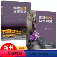 物理 初中通用 [正版]新书 写给青少年的物理启蒙读本全2册 物理感觉启蒙读本 物理感觉从悟到通 中学物理问题的本质