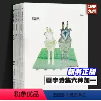 [正版]夏宇诗集六种加一:腹语术+摩擦·无以名状+Salsa+粉红色噪音pink Noise+诗六十首+第一人称+验证
