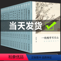 [正版]文人画的真性 朱良志 (共16册) 系列丛书一枝瘦骨写空山混沌里放出光明源上桃花无处无 温暖的溪岸金农黄公望恽