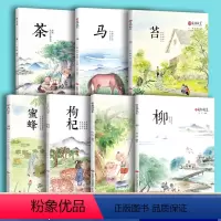 万物启蒙系列[全7册] [正版]万物启蒙 共7册 钱锋编著 儿童国学成长启蒙书中国智慧国学文化书国学文化启蒙教育马蜜蜂蝉