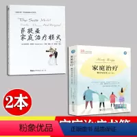 [正版]家庭治疗 概念与方法 (第11版)[美]迈克尔尼克尔斯/著 萨提亚家庭治疗模式 第二版 维吉尼亚·萨提亚 全