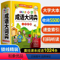 [正版]小学生成语大词典 2022全新彩图版 多功能词典彩图大字语文成语词典字典词典辞典现代多功能成语词典汉语词语小学