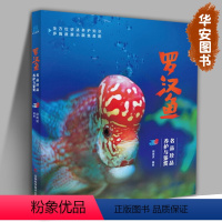 [正版]罗汉鱼 名品珍品养护与鉴赏 胡南波 水族箱观赏鱼饲养繁殖书籍鱼缸宠物养鱼图书 罗汉鱼书籍热带观赏鱼饲养繁殖图书