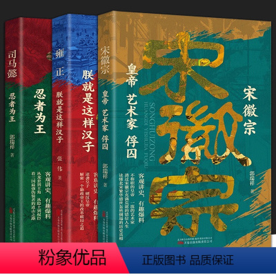 宋徽宗+雍正+司马懿[3册] [正版]宋徽宗皇帝艺术家俘囚+雍正 朕就是这样汉子+司马懿忍者为王3册充满荒诞的错位人生