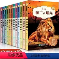 沈石溪动物小说系列全套12册 [正版]全套沈石溪动物小说大王全集十大经典必读小学生三四至五六年级课外书必读老师的作品阅读