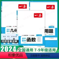 [初中通用数学专项3本]函数+几何+应用题 [正版]2024一本初中数学几何模型数学函数应用题中考数学必刷题数学专项训练