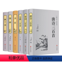 古诗词大全集[全套6册] [正版]古诗词大全集全套6册诗集 唐诗三百首+宋词三百首+元曲三百首+楚辞+诗经+纳兰词鉴赏赏