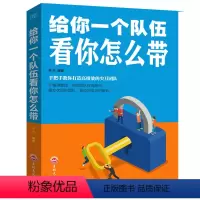 给你一个队伍看你怎么带 [正版]给你一个队伍看你怎么带企业团队人力资源行政薪酬绩效管理类书籍职场为人处世人际关系提升自我