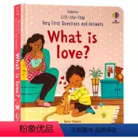 [正版]Usborne出品问与答系列 爱是什么英文原版绘本 What is love 幼儿启蒙生活习惯图画纸板翻翻书儿