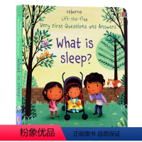 [正版]Usborne问与答系列 我们为什么要睡觉 英文原版绘本 Lift-the-flap Questions an