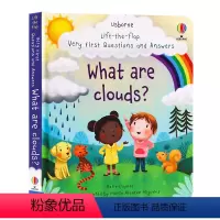 [正版]Usborne问答系列 云是什么 Lift-the-flap Questions and Answers Wh