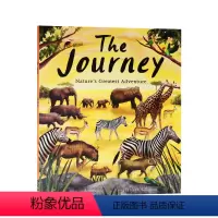 [正版]动物大迁徙大自然之旅 英文原版绘本 The Journey 自然冒险绘本4-8 Hanako Clulow著作