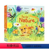 自然立体书 [正版]Usborne出版 Pop-Up立体书系列 Garden/London/Dinosaurs/Bird
